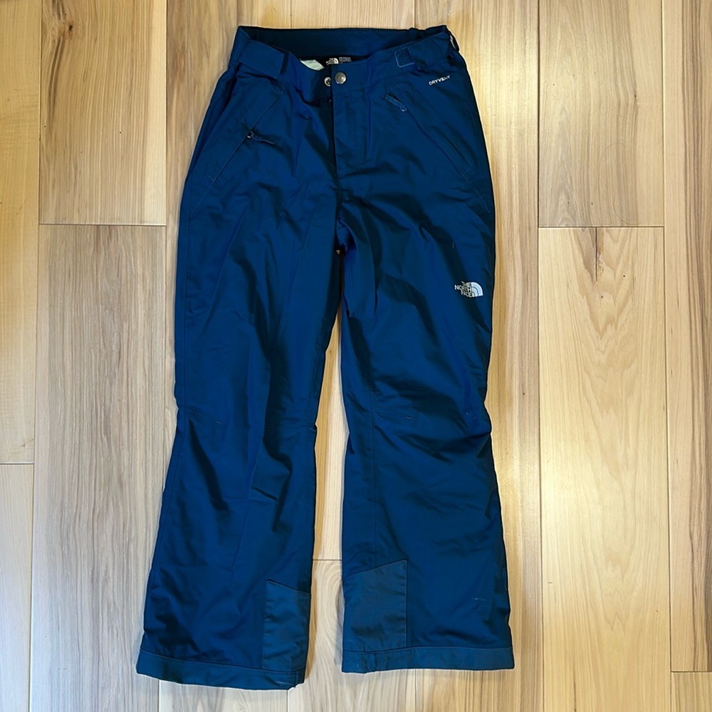 The North Face freedom ski pants